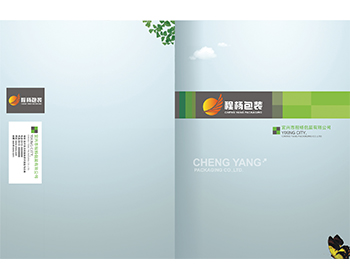 �̗�����O(sh��)ӋЧ��